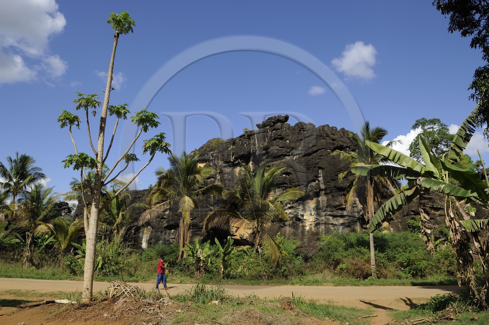 Tanzania, Morogoro district, Uluguru mountains, the Matombo track