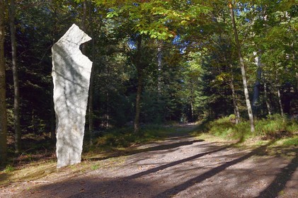 France, Bas Rhin, Ottrott, Mont Sainte-Odile, site of the Airbus A320 crash on January 20, 1992 killing 87 on the heights of La Bloss
