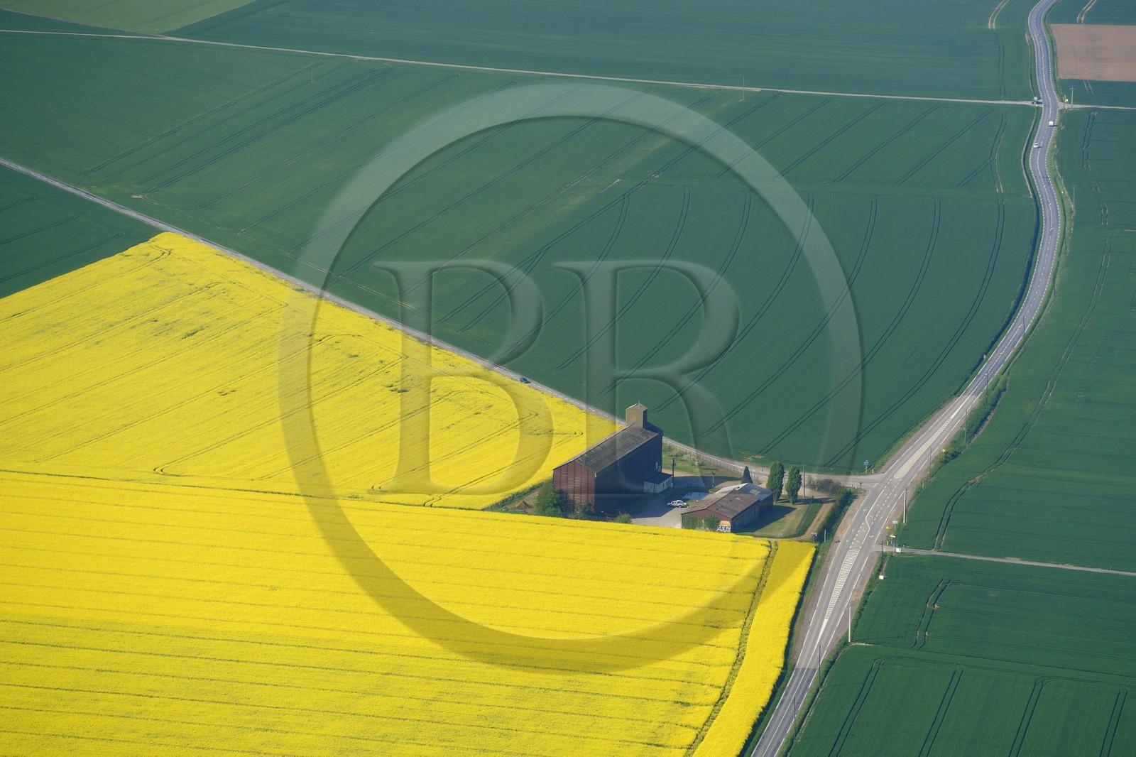 France, Eure (27), champ de colza en fleurs (vue aérienne)