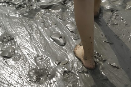 France, Manche (50), traversée à pied de la Baie du Mont Saint-Michel, classé Patrimoine Mondial de l' UNESCO, marche dans la vase à marée basse