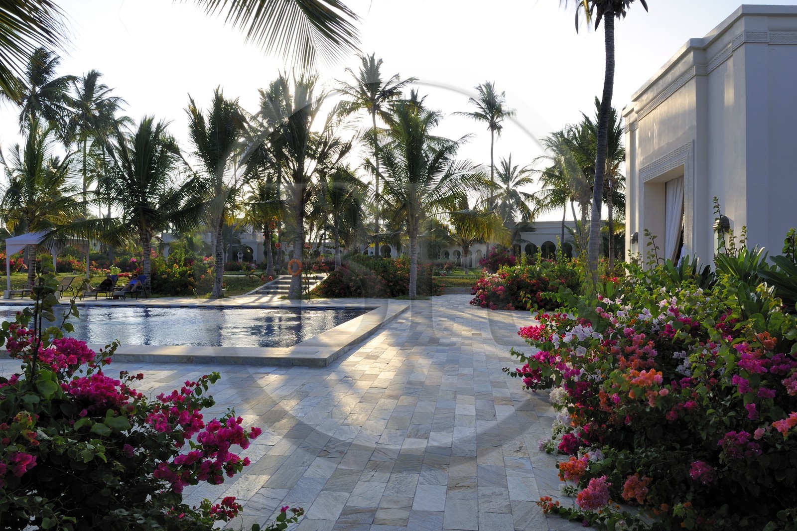 Tanzanie, archipel de Zanzibar, île de Unguja (Zanzibar), côte Sud-Est, Bwejuu, le luxueux Baraza Resort & Spa