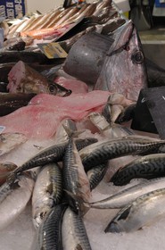 France, Charente-Maritime (17), Rochefort, le marché couvert et palais des congrés