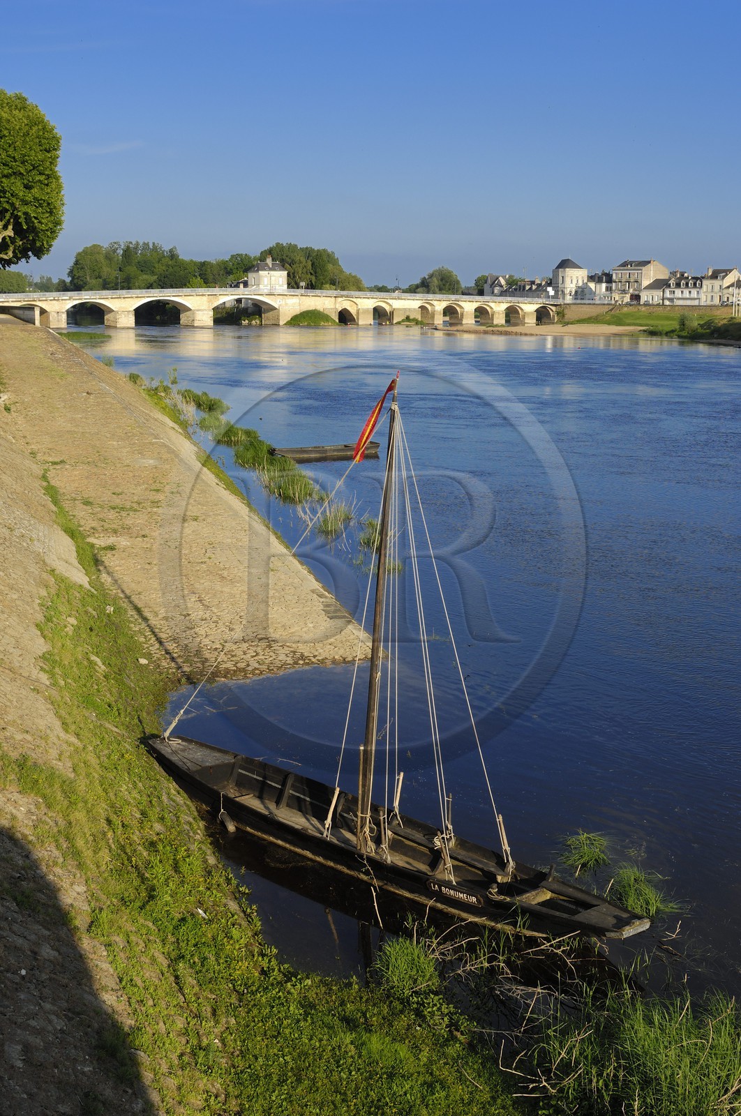 France, Indre et Loire (37), Vallée de la Loire classée Patrimoine Mondial de l'UNESCO, Chinon, pont sur La Vienne