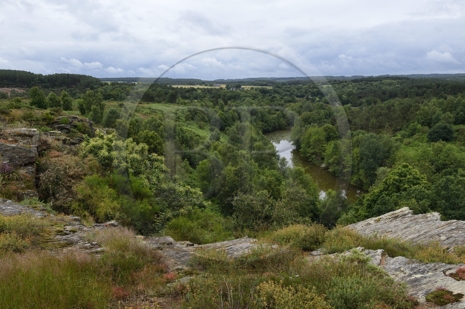France, Ille-et-Vilaine, Saint-Just, the Lande de Cojoux, Val pond supplied by the river Canut