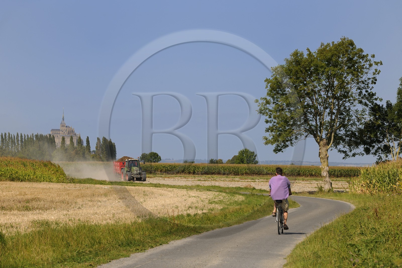 France, Manche, Bay of Mont Saint Michel, road of the mills