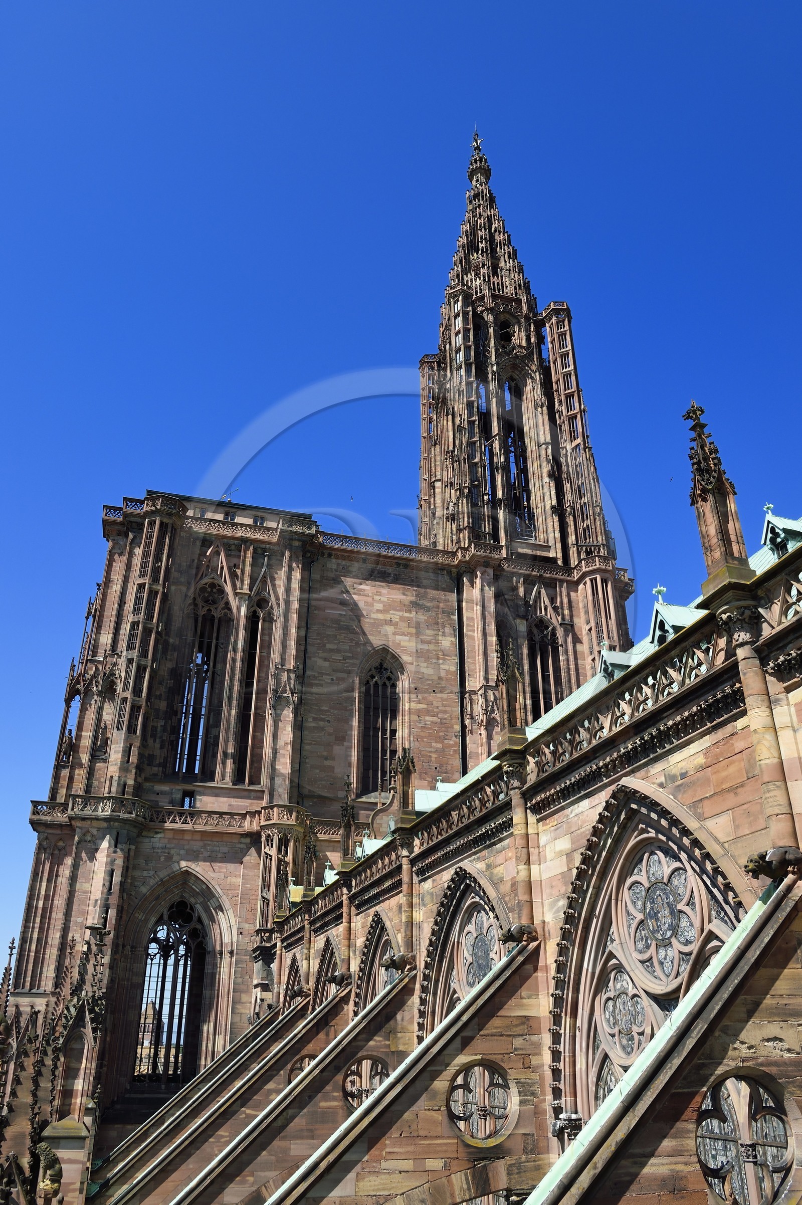 France, Bas-Rhin (67), Strasbourg, vieille ville classée au Patrimoine Mondial de l'UNESCO, la cathédrale Notre-Dame, arcs-boutants de la facade sud