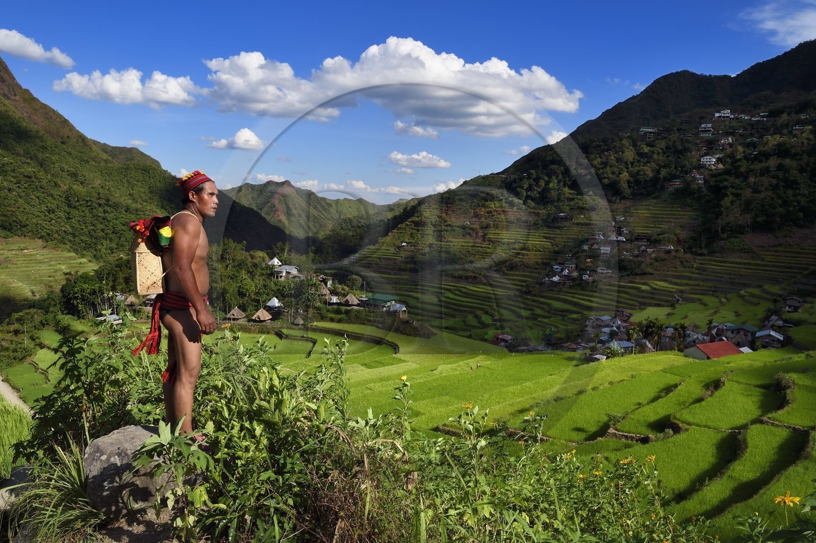 Philippines, province d'Ifugao, les rizières en terrasses de Banaue autour du village de Batad, classées Patrimoine Mondial de l'UNESCO, le guide Adolpho revetu du costume traditionnel Ifugao