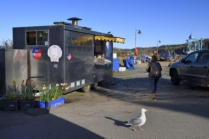 Royaume-Uni, Ecosse, Highland, Hébrides intérieures, Ile de Mull, la ville principale Tobermory, Fish and chips sur le port