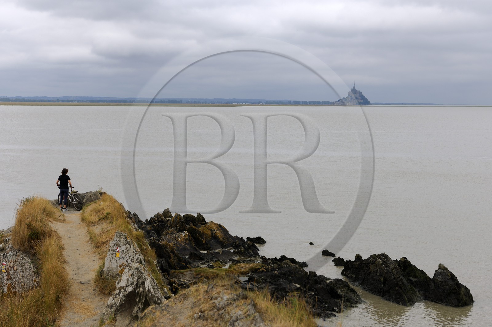 France, Manche (50), la Baie du Mont-Saint-Michel et le Mont depuis le Groin du Sud
