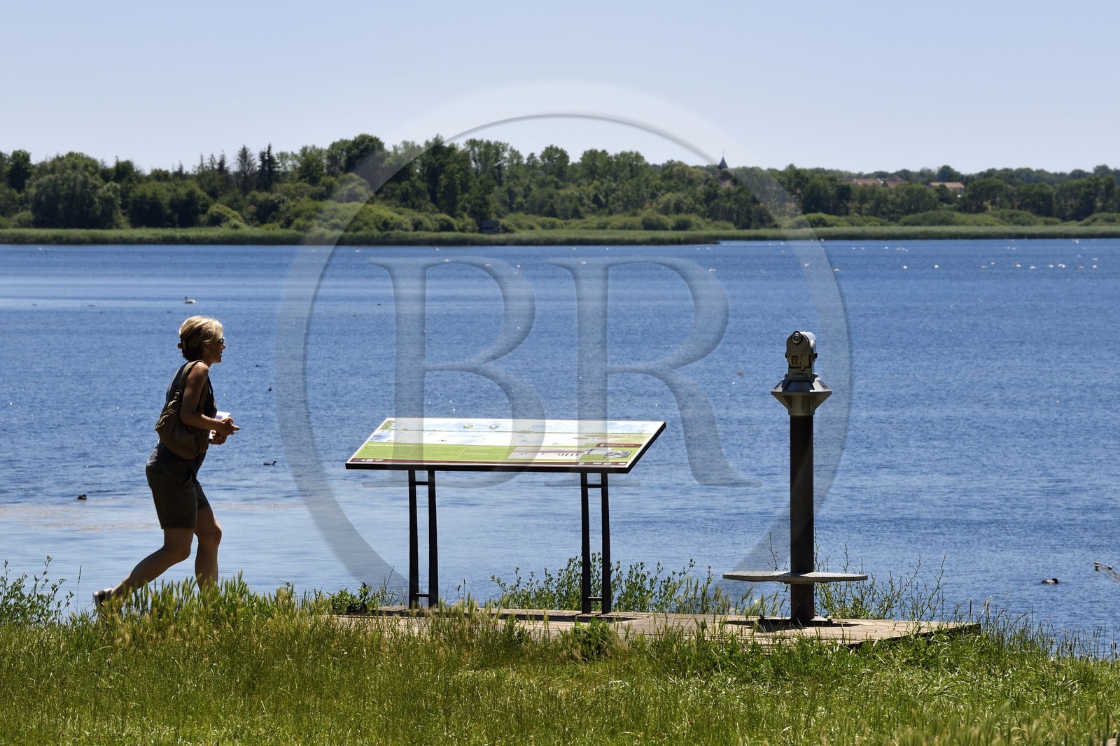 France, Meuse (55), Parc naturel régional de Loraine, Etang de Lachaussée, point d'observation de l'ESAT (Etablissement de Services et d'Aide par le Travail)