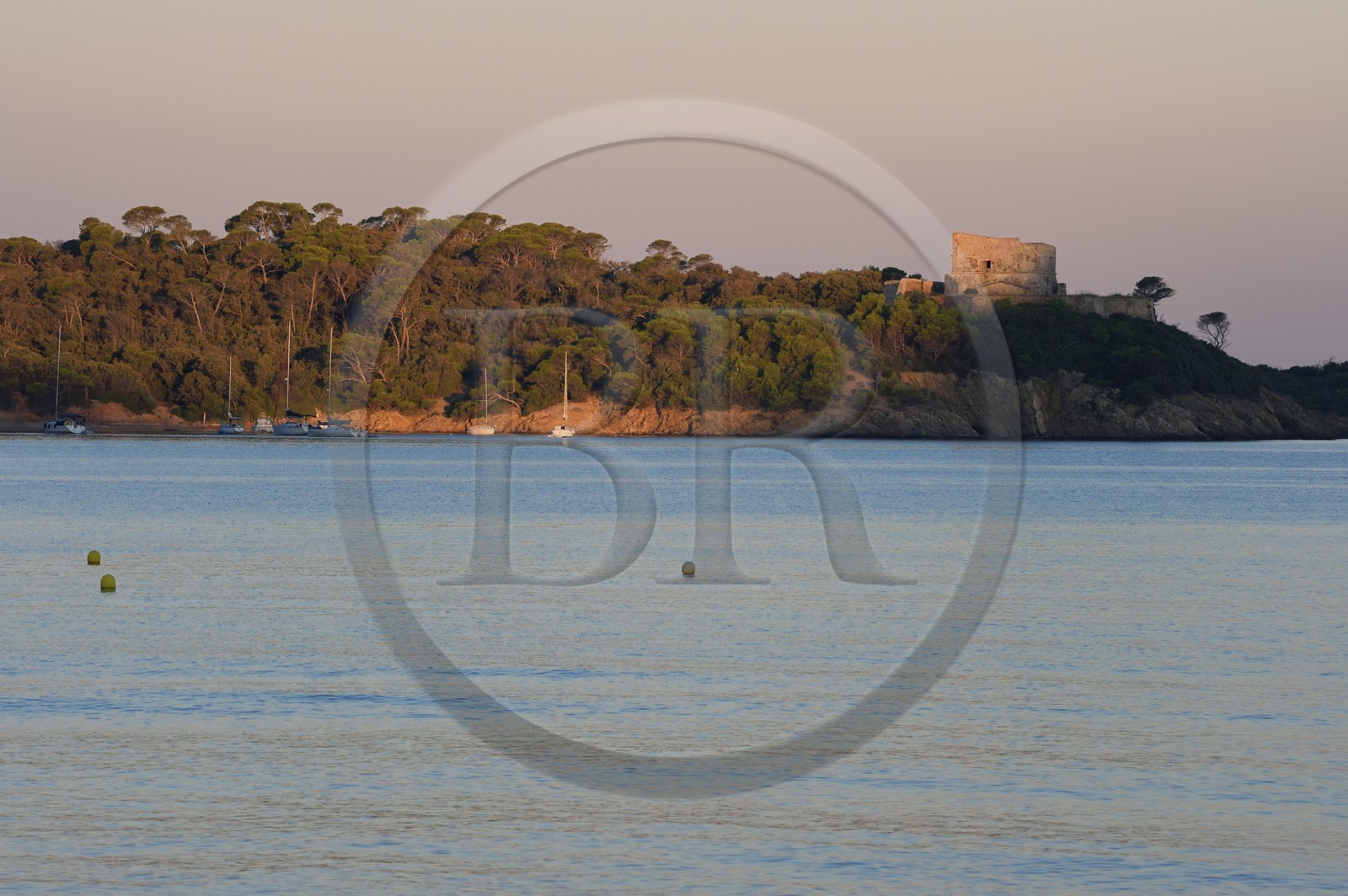France, Var (83), Iles d'Hyères, parc national de Port Cros, Ile de Porquerolles, la baie et le Fort de l'Alycastre