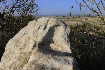 France, Ille et Vilaine, Bay of Mont Saint Michel, le Mont Dol, Rocher du Diable (evil rock) with the mark of the foot of St Michael the archangel