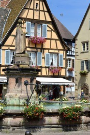 France, Haut-Rhin (68), Eguisheim, labellisé Les Plus Beaux Villages de France, place du Chateau, la fontaine surmontée d'une statue du Pape Leon IX natif du village