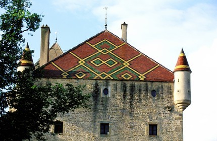 France, Saône-et-Loire (71), château de Pierreclos (XIIème et XVIIème) tuiles vernissés