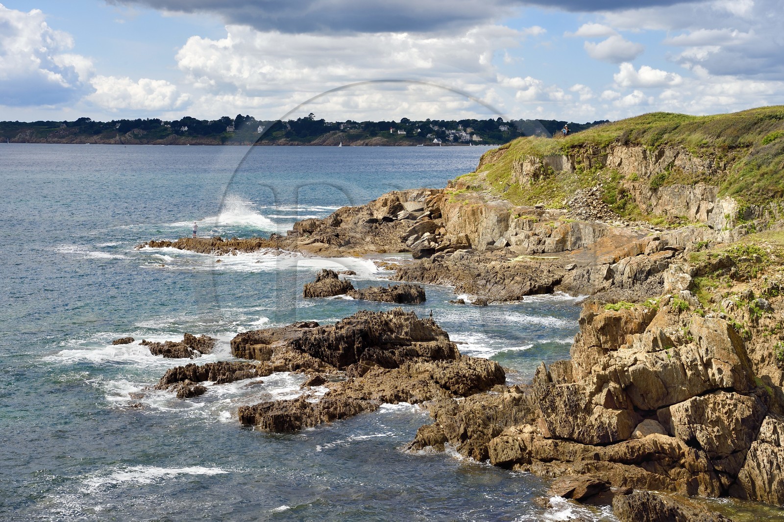 France, Finistere (29), Moelan sur Mer, the coast between Kerfany les Pins and the beach of Trenez along the GR 34 hiking trail or sentier des douaniers (customs trail)
