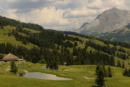 Switzerland, Canton of Vaud, Villars sur Ollon golf