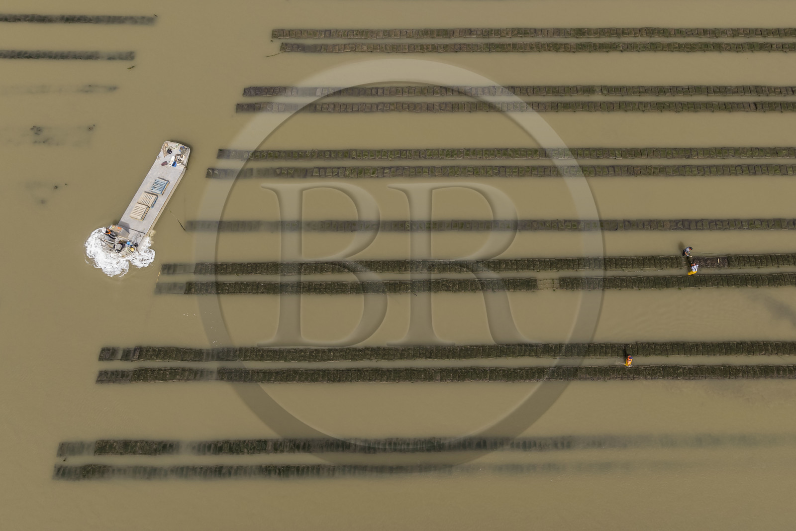 France, Charente-Maritime (17), Ile d'Oléron, Dolus-d’Oléron, entretien des parcs à huitres du bassin de Marennes-Oléron dans le Pertuis d'Antioche à marée basse (vue aérienne)