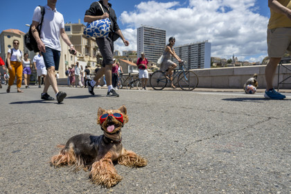 France, Bouches-du-Rhône (13), Marseille, quartier d'Endoume, pont du Vallon des Auffes, la Corniche du Président John Fitzgerald Kennedy piétonne un dimanche par mois au premier plan