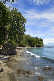 Panama, Chiriqui province, Gulf of Chiriqui National Marine Park, Isla Palenque, playa Primera white sand beach