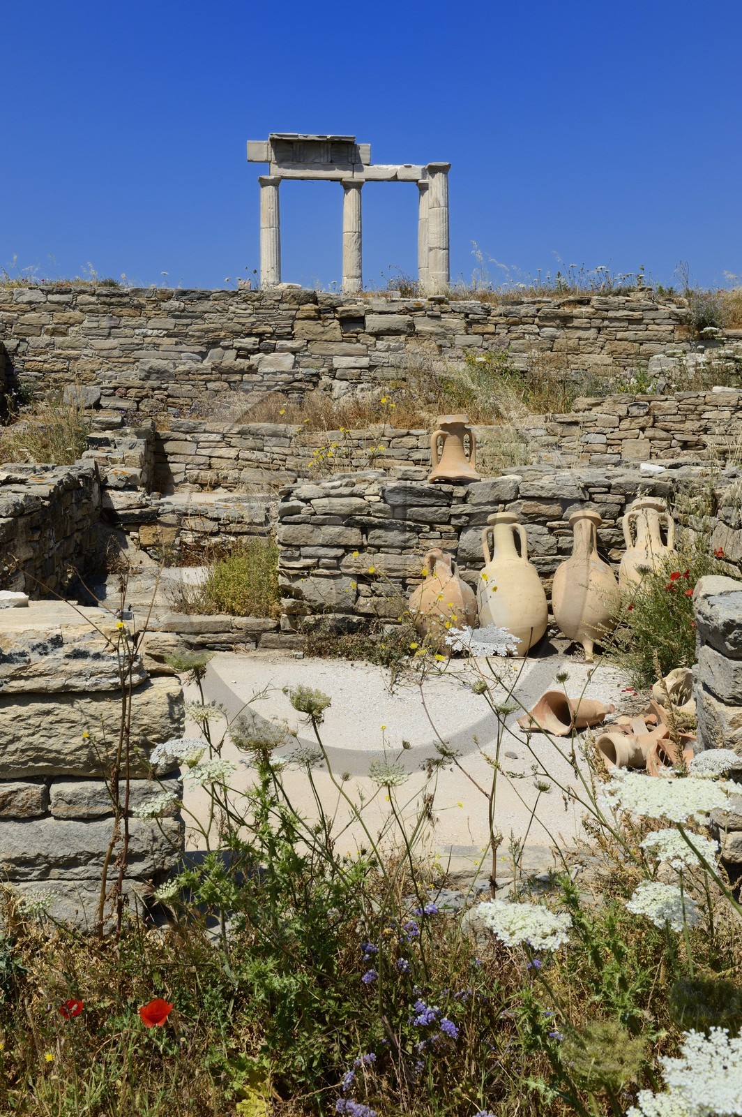 Grèce, île de Delos, classée Patrimoine Mondial de l'UNESCO, site archéologique de Délos, sanctuaire d'Apollon, la plus grande cité antique de la mer Egée, l'établissement des Poséidoniastes de Beyrouth