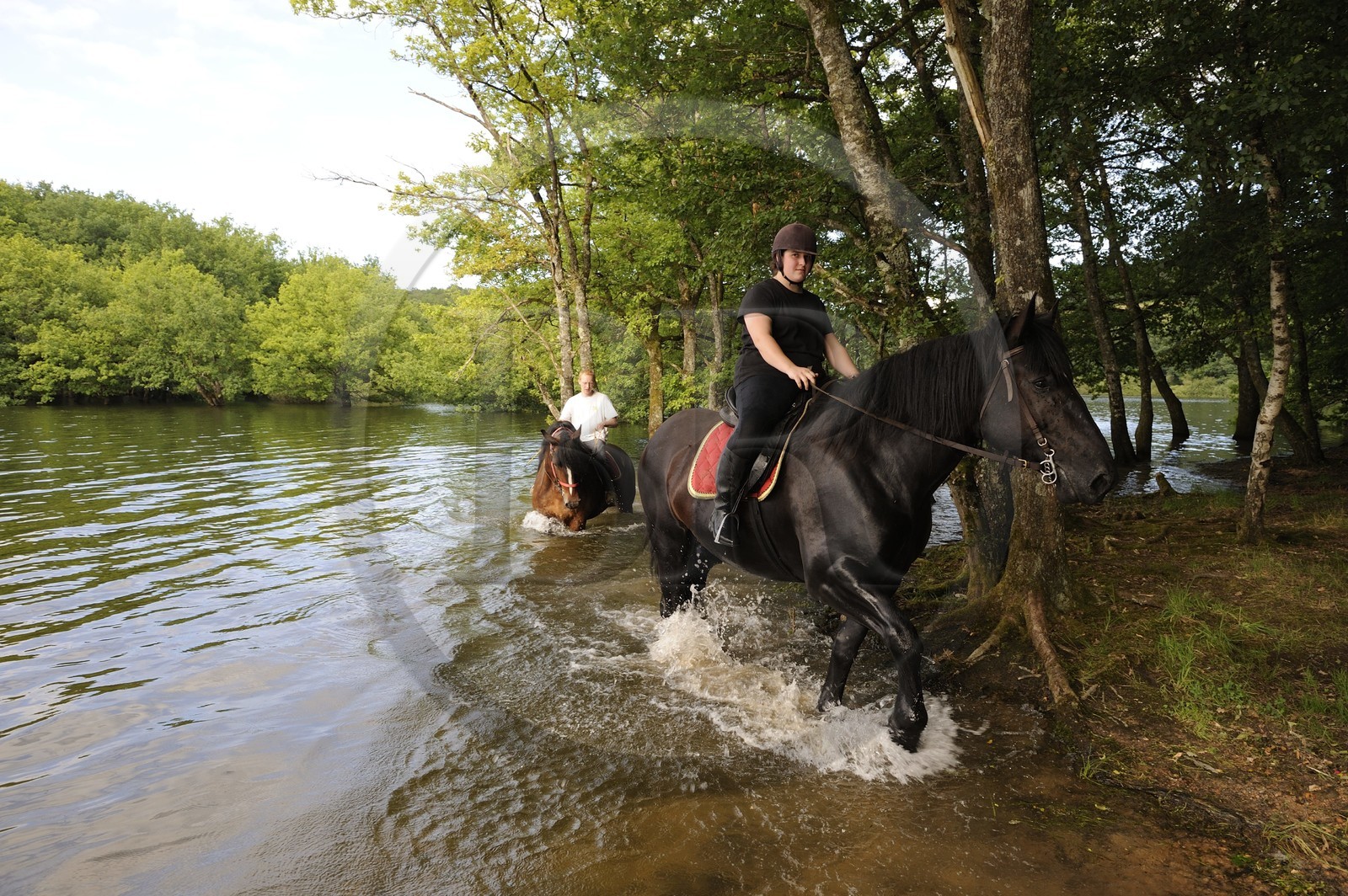 France, Nièvre (58), lac de Pannecière, découverte équestre du lac