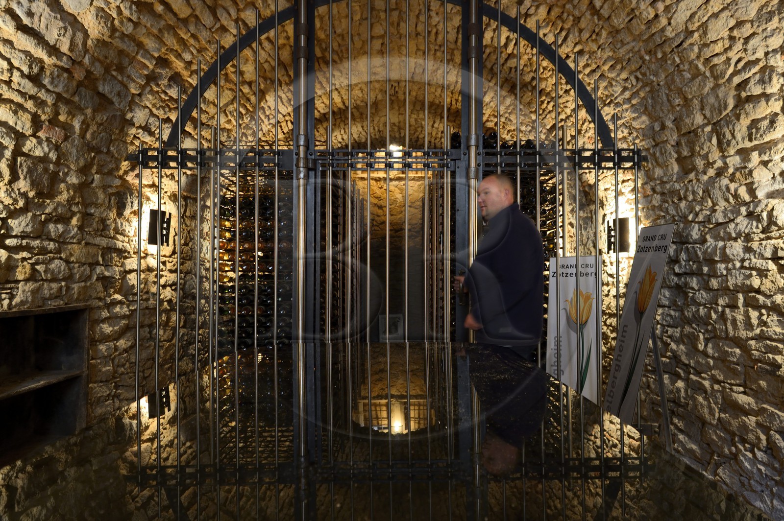 France, Bas-Rhin (67), Route des Vins d'Alsace, Mittelbergheim, labellisé Les Plus Beaux Villages de France, l'oenothèque où sont conservés les vins primés