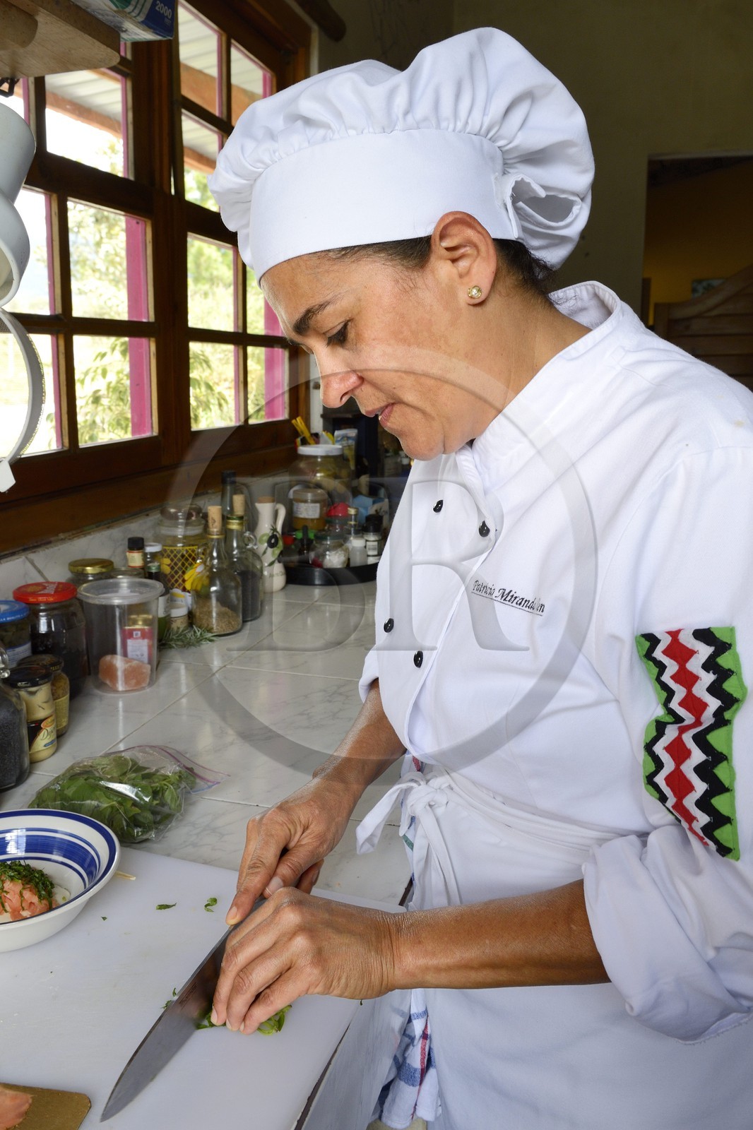 Panama, province de Chiriqui, petite ville de Volcan, restaurant Cerro Brujo Gourmet, la chef Patricia Miranda Allen