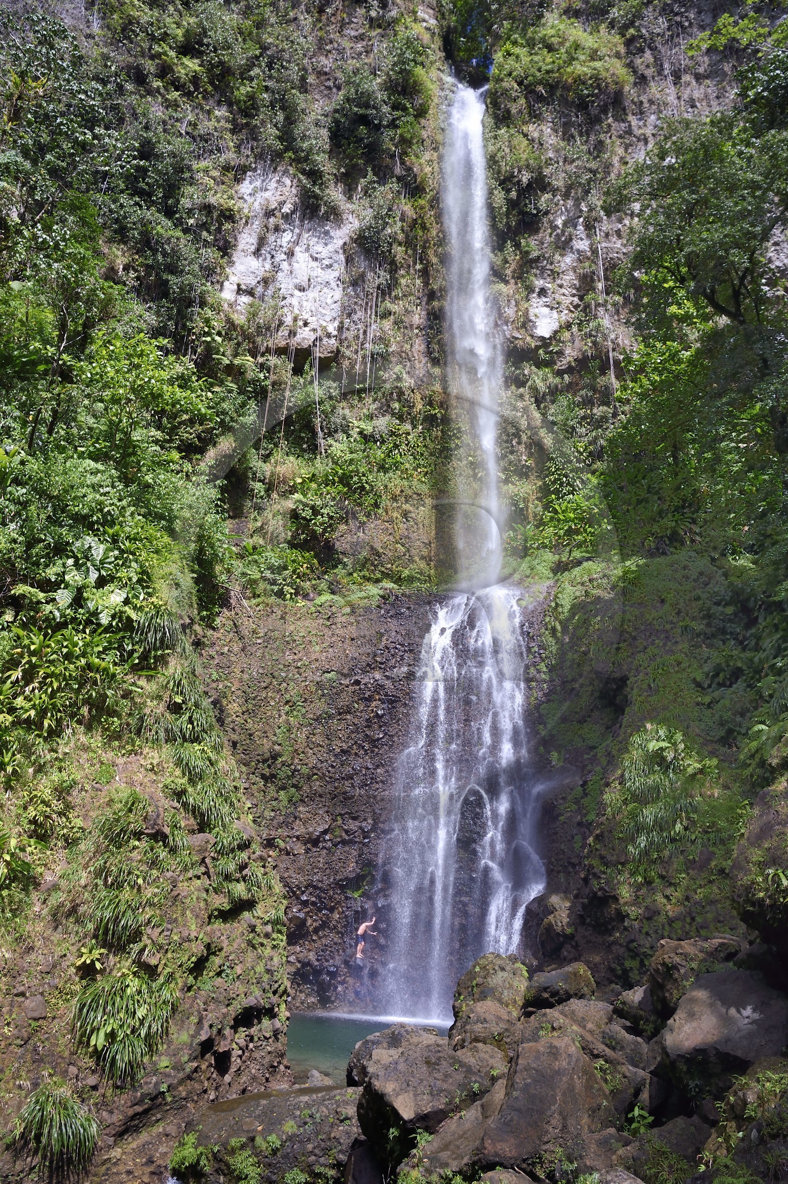 Caraïbes, Ile de la Dominique, Parc national du Morne Trois Pitons classé Patrimoine Mondial de l'UNESCO, randonneur à la cascade de Middleham Falls sur le sentier de randonnée Waitukubuli qui traverse l’ile