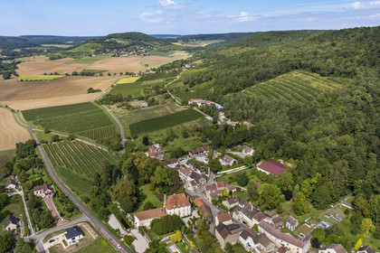 France, Cote d'Or, vineyard of the Hautes Côtes de Nuits at Villars Fontaine and the Saint-Vivant de Vergy abbey in the background on the hill (aerial view)