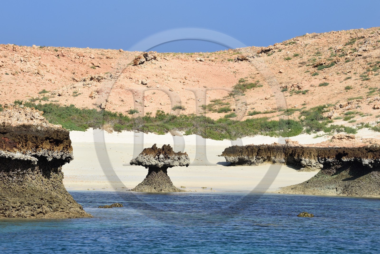 Sultanat d'Oman, gouvernorat de Mascate, réserve naturelle des Iles Daymaniyat, plage