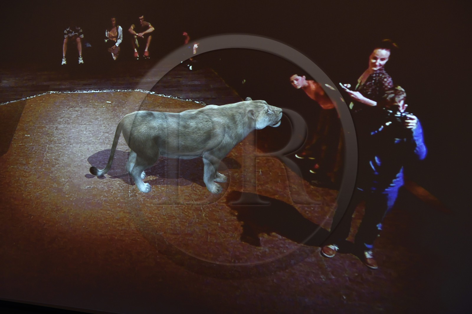 France, Dordogne (24), Perigord Noir, vallée de la Vézère, Thonac, Le Thot, espace Cro-Magnon, le miroir temporel, animation de réalité augmentée, les visiteurs se retrouvent face à des animaux disparus tels qu'une lionne des cavernes
