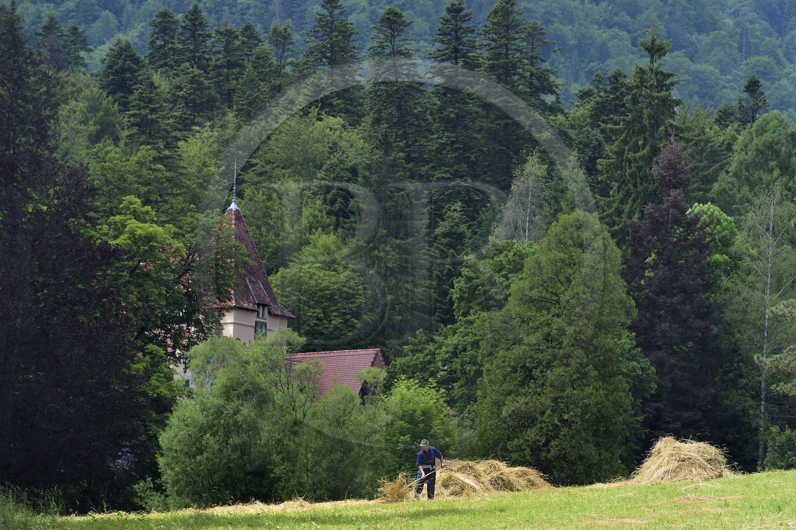 Roumanie, Valachie, Sinaia, parc du château de Peles ancienne résidence royale édifiée de 1875 à 1883 pour le roi Carol Ier de Roumanie
