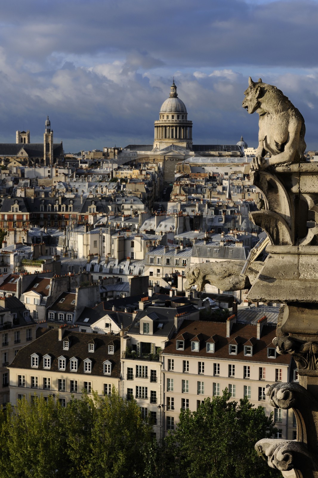 France, Paris, ile de la Cite, Notre-Dame Cathedral, a chimera looking at the Pantheon