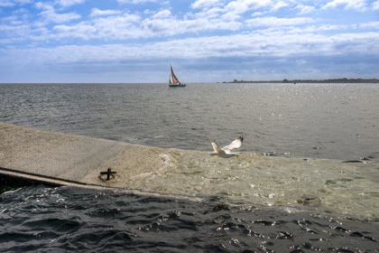 France, Finistère (29), Pays des Abers, jetée de l'Ile Vierge dans l'archipel de Lilia