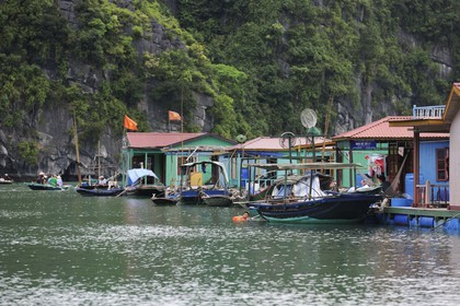 Vietnam, province de Quang Ninh, la Baie d'Halong classée Patrimoine Mondial de l'UNESCO, village flottant de pêcheurs de Vong Vieng