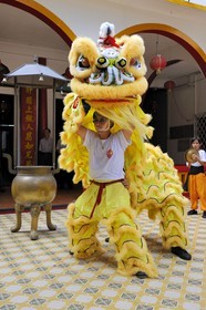 France, île de la Réunion, Saint-Pierre, danse traditionnelle du dragon à l'occasion des fêtes du nouvel an chinois dans un temple