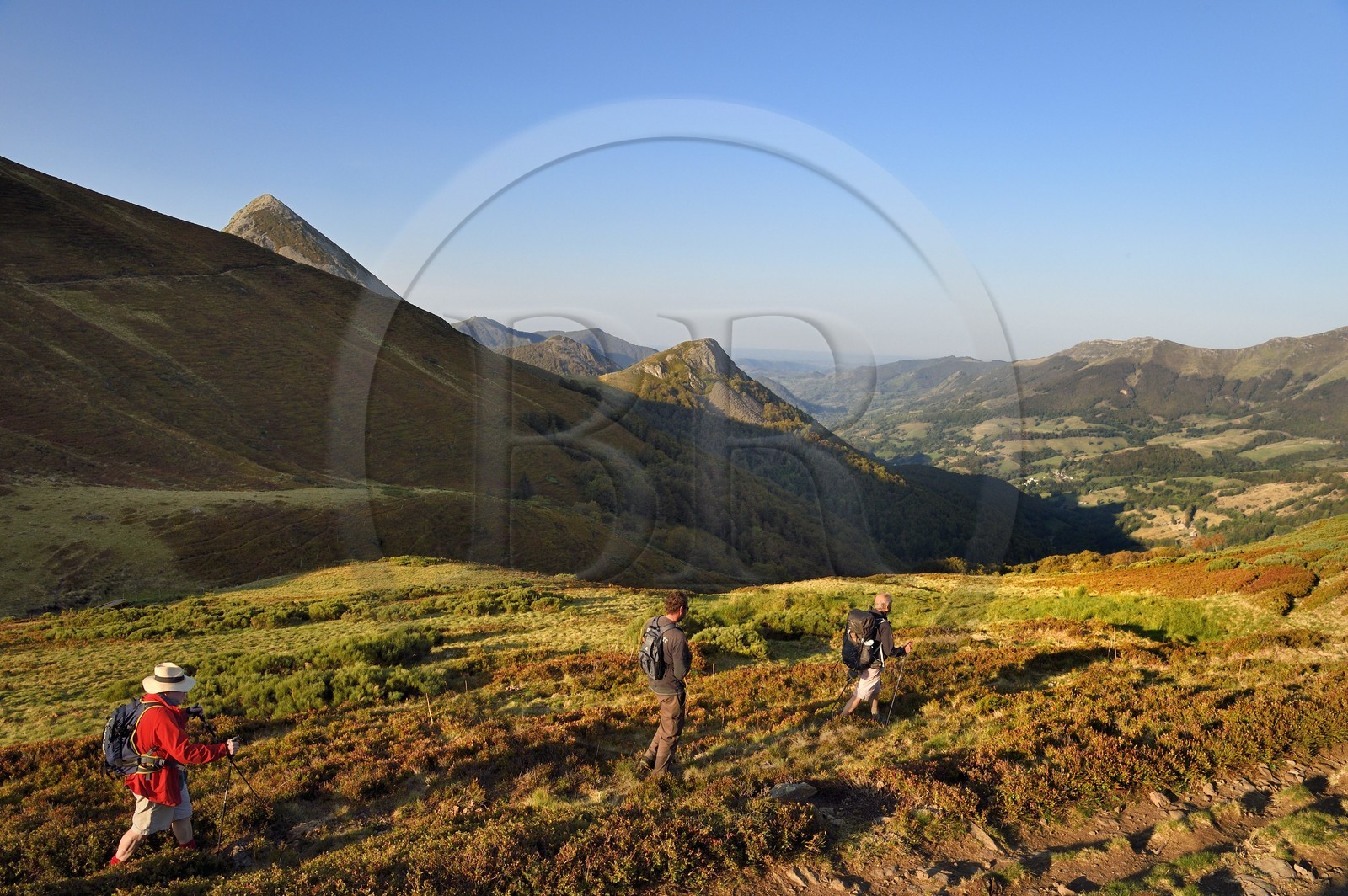 France, Cantal, Parc Naturel Régional des Volcans d'Auvergne (regional nature park of Auvergne volcanoes), Le Lioran, col de Rombiere (mountain pass) overlooking the Jordanne valley, hikers on the Way of St. James to Santiago de Compostela by Via Arverna, in the background the Puy Griou emerging on the left and the Griounou on its right