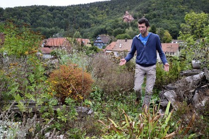 France, Bas Rhin, Northern Vosges Regional Natural Park, Obersteinbach, the ecological garden Hymenoptera created by Sébastien Heim to promote the presence of insects