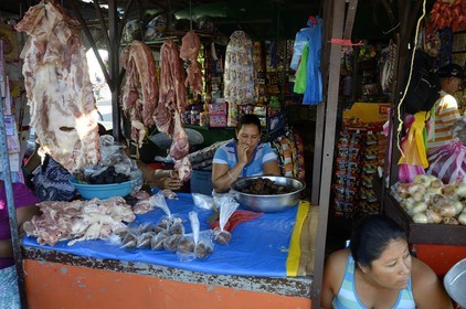 Nicaragua, Granada, marché central, vendeuse de viande