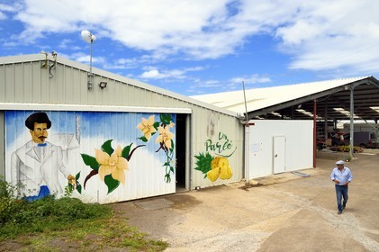 France, Ile de la Reunion, Saint-Louis, Domaine de Bellevue, producteur de vanille biologique cultivée sous des panneaux photovoltaïques, le batiment de production France, Reunion island (French overseas department), Saint Louis, Domaine de Bellevue, producer of organic vanilla grown under photovoltaic panels, the production building