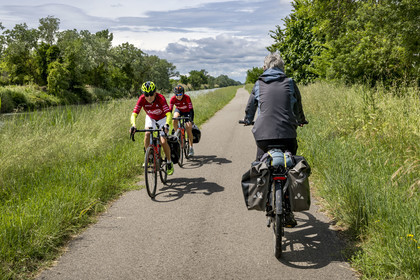 France (30), Gard, Beaucaire, cyclistes sur la véloroute ViaRhona, voie Verte longeant ici le Canal du Rhone à Sète