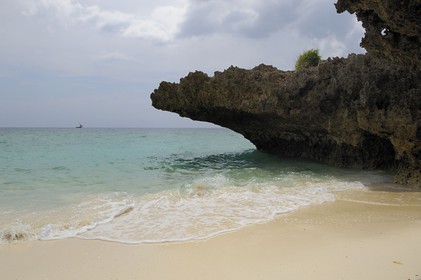 Tanzanie, archipel de Zanzibar, île de Unguja (Zanzibar), côte ouest, plage de la réserve naturelle de Chumbe Island Coral Park à marée basse
