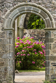 France, Côtes d'Armor (22), Paimpol, abbaye de Beauport du XIIIème siècle