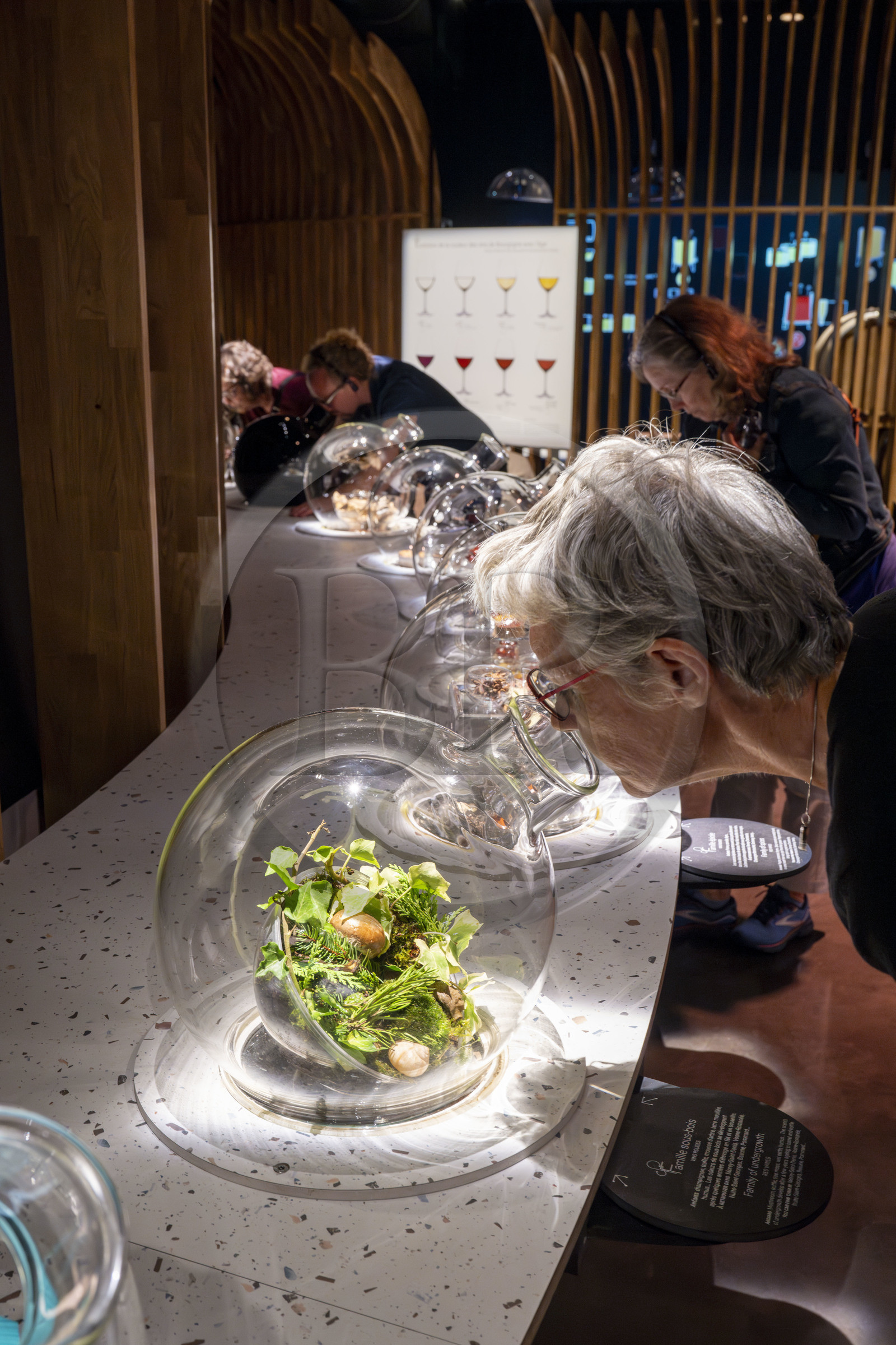France, Côte-d'Or (21), les climats de Bourgogne classés Patrimoine Mondial de l'UNESCO, Beaune, la Cité des vins et climats de Bourgogne,  expériences sensorielles