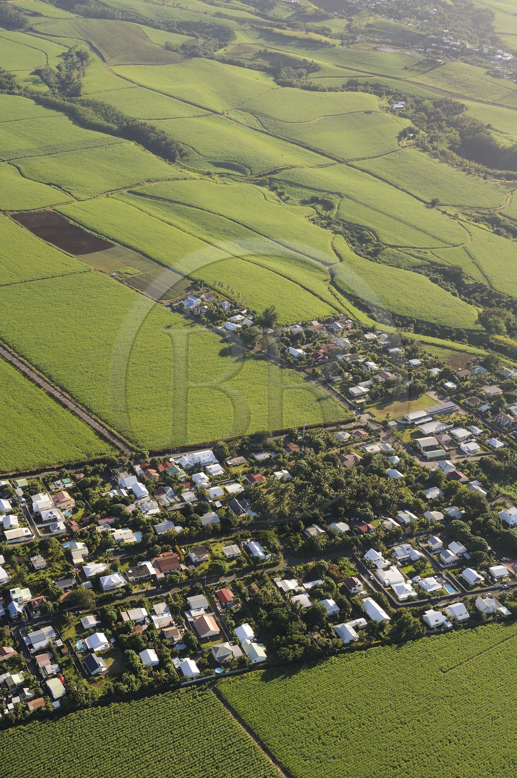 France, île de la Réunion, côte Nord-Est entre Sainte-Suzanne et Saint-André, champs de cannes à sucre (vue aérienne)