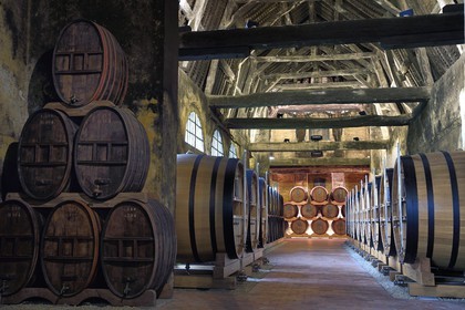 France, Calvados (14), Pays d'Auge, Le Breuil-en-Auge, Chateau du Breuil producteur de Calvados AOC Pays d’Auge, tonneaux dans les chais de vieillissement