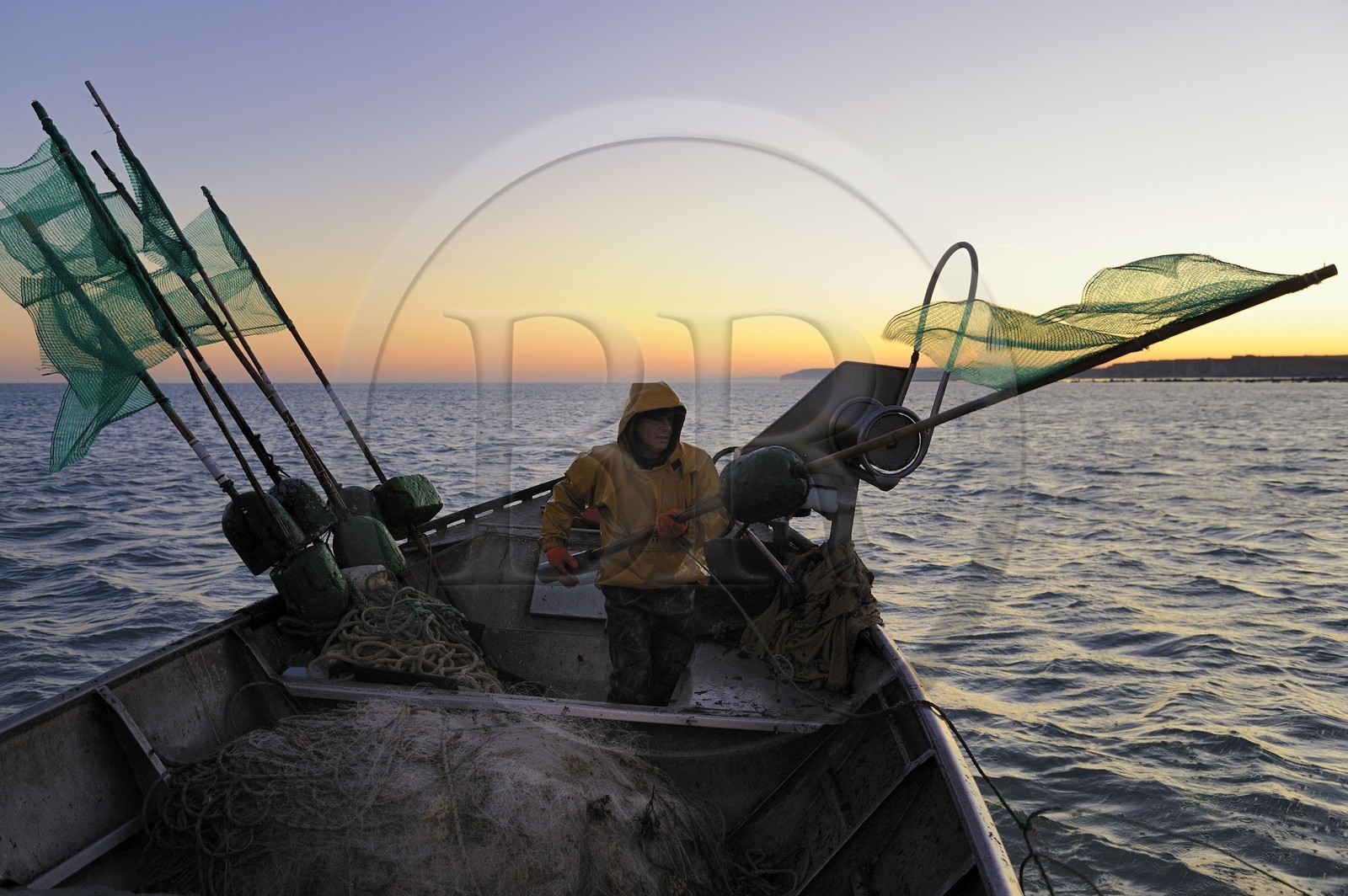 France, Seine-Maritime (76), au large de Veules-les-Roses à l'aube, pêche au filet à bord du bateau La Pomme appartenant à Anthony Paumier le plus jeune patron de pêche de France