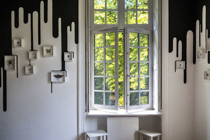 France, Loire-Atlantique (44), Saint-Jean-de-Boiseau, collection d'art contemporain Estuaire, chambres d'hotes qui sont des Chambres d'artistes au Chateau du Pé, chambre Est-il bien prudent d’envoyer des messages aux extra-terrestres ? crée par Mrzyk et Moriceau