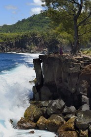 France, Ile de la Reunion, Saint-Joseph vers la plage de Ti Sable, le sentier littoral longe une cote basaltique résultant d'une ancienne coulée de lave, filao