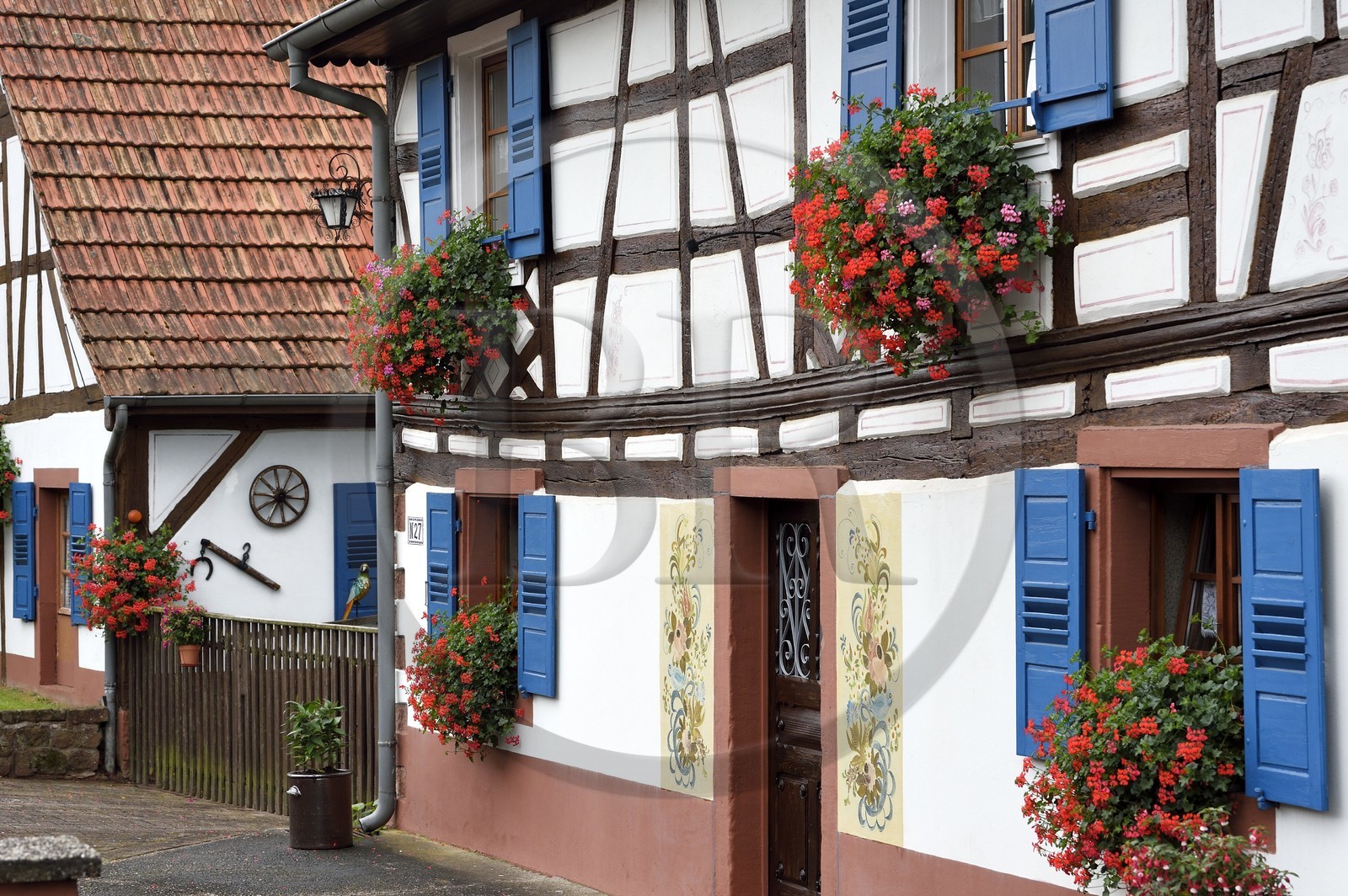 France, Bas Rhin, Northern Vosges Regional Natural Park, Obersteinbach, traditional half-timbered house in the main street